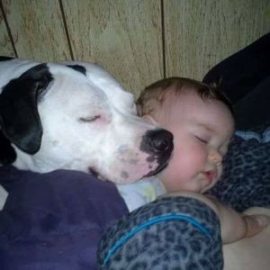 Meet your Posher, Keith